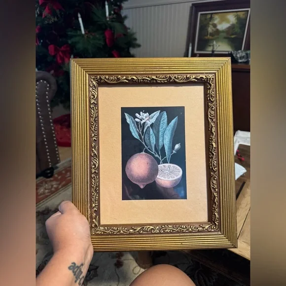 Gold Framed Botanical Art Prints - Picture 3 of 4